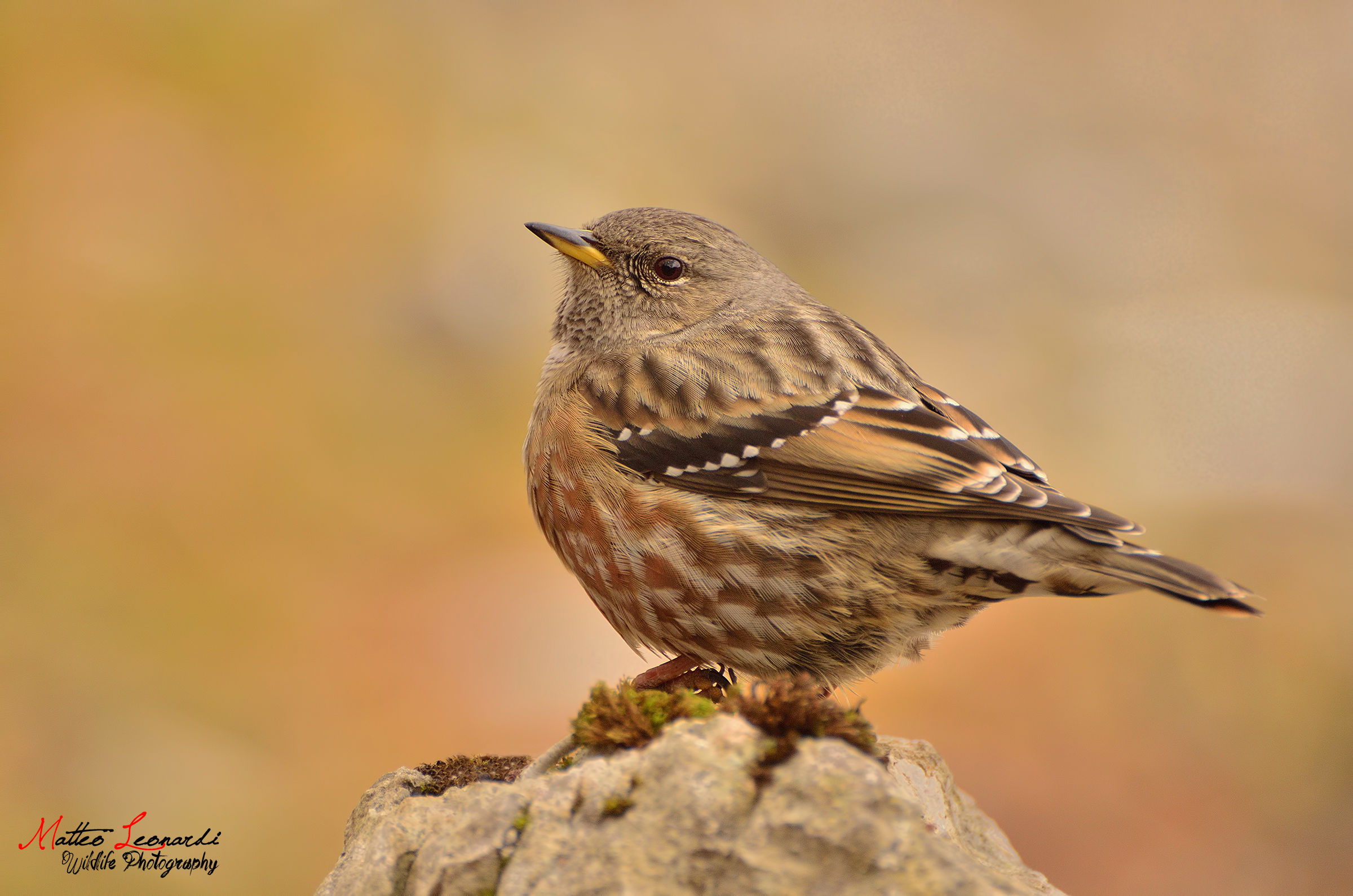 Sordone - Alpi Apuane
