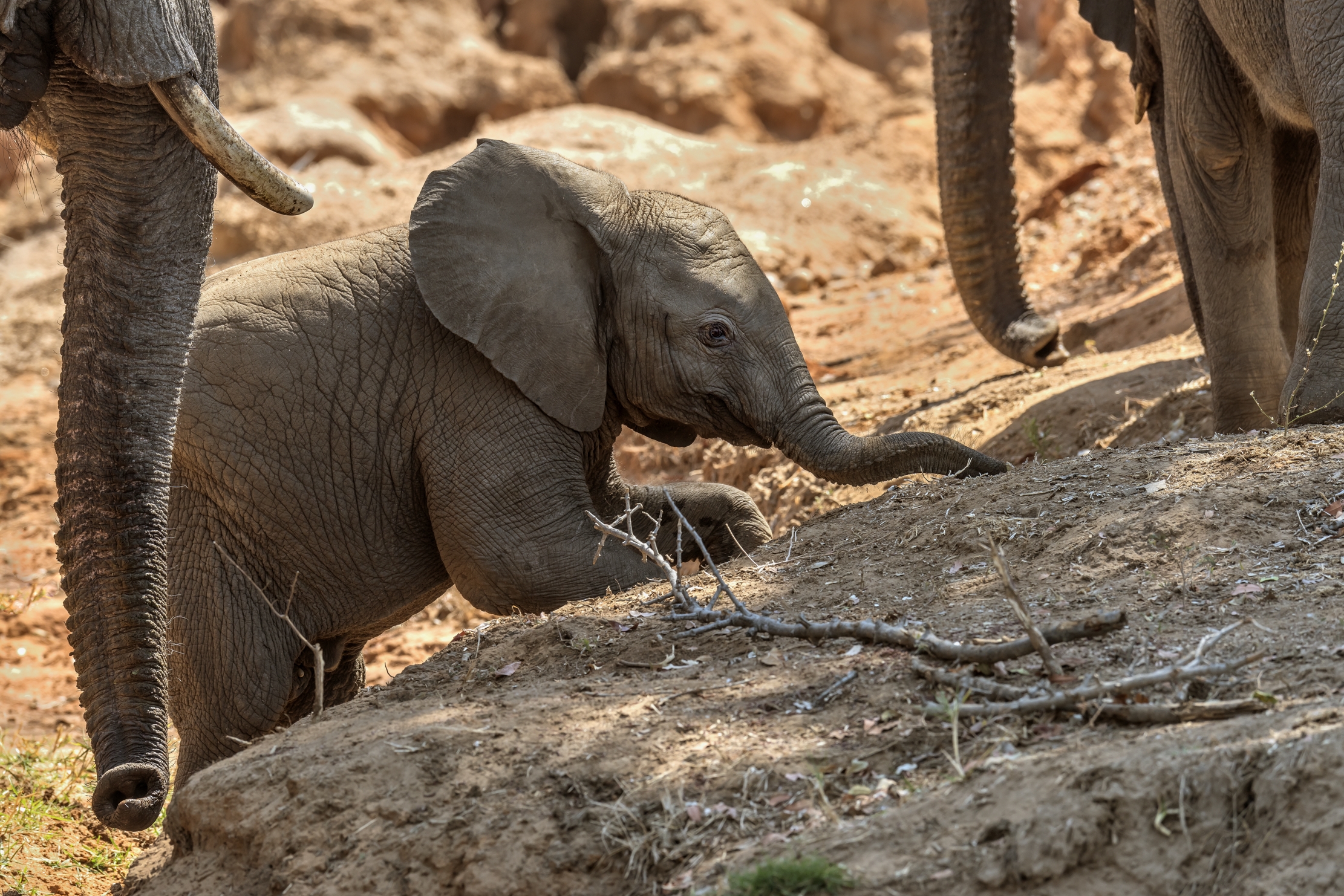 Zambia 2015 - La salita difficile