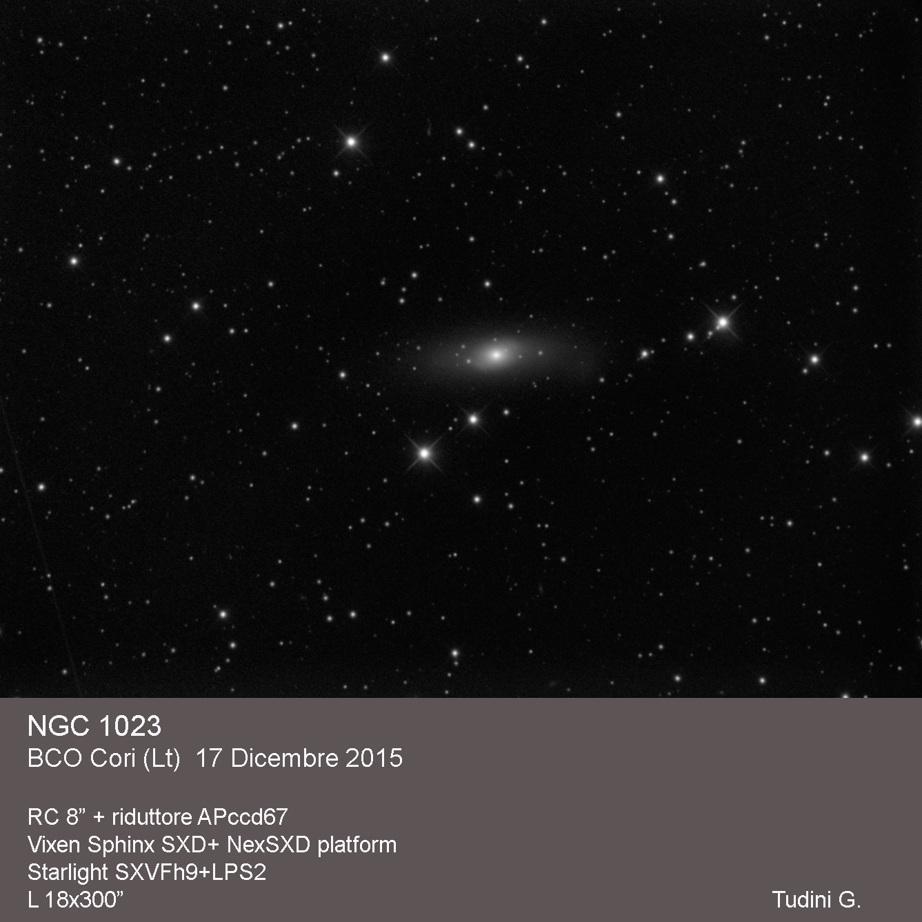 NGC 1023