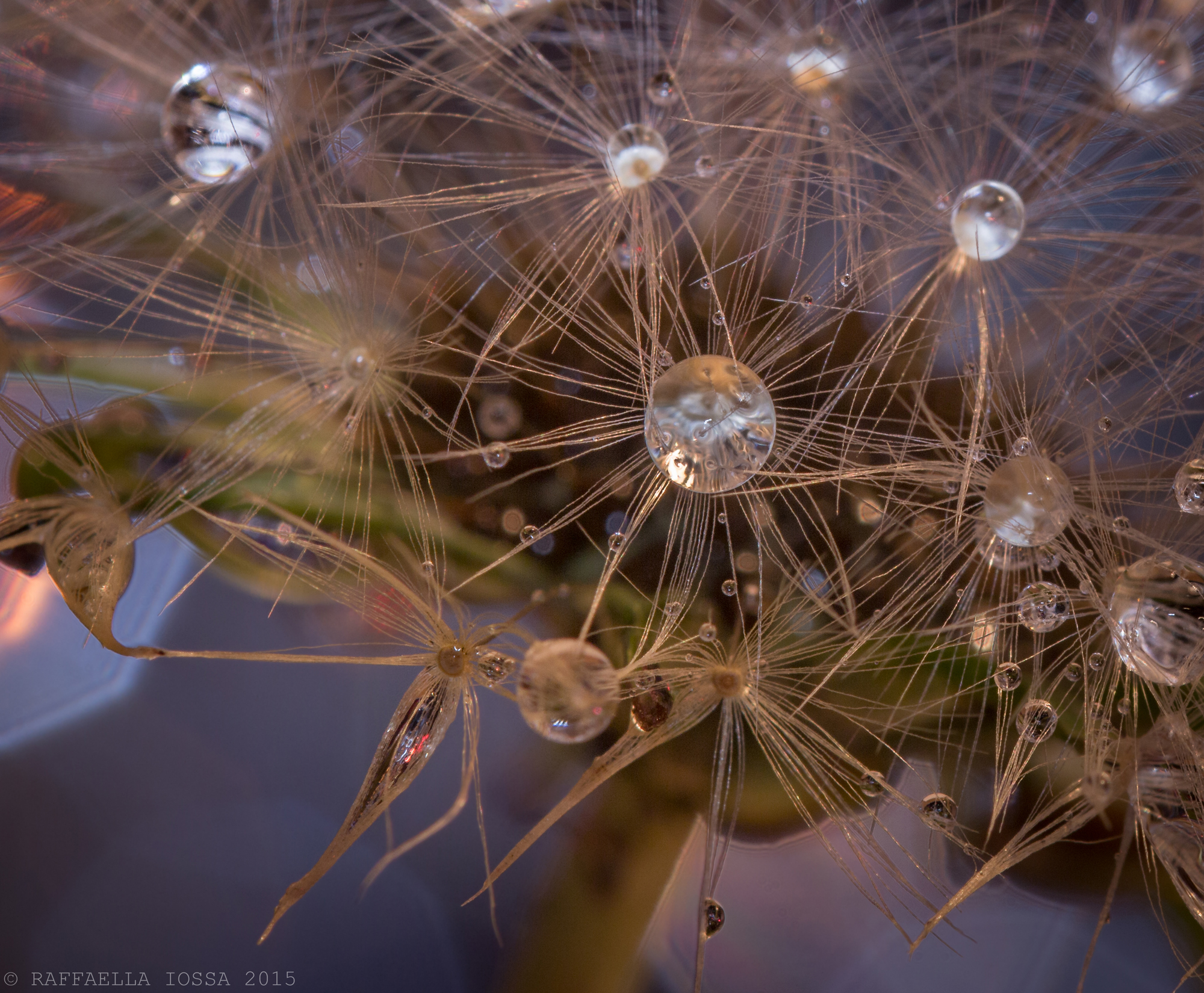 decorate the head ... did! ;)