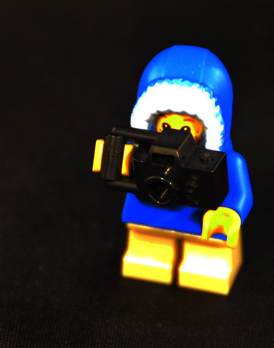 photographing they start young