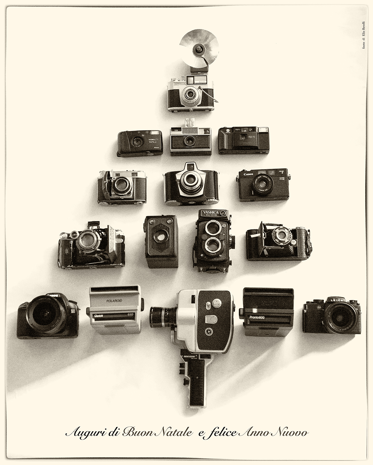 the tree of good light