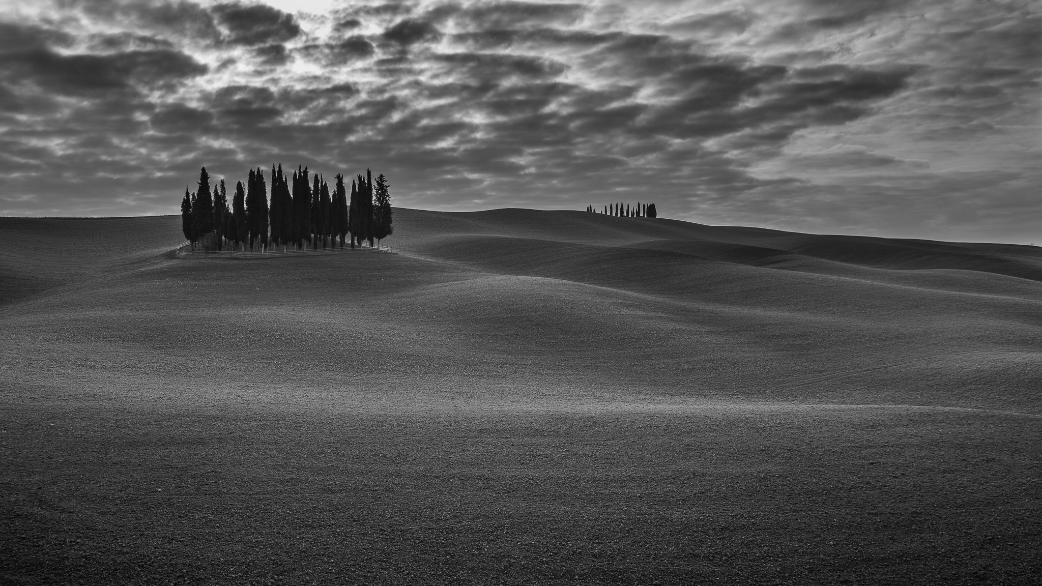 I cipressi Di San Quirico