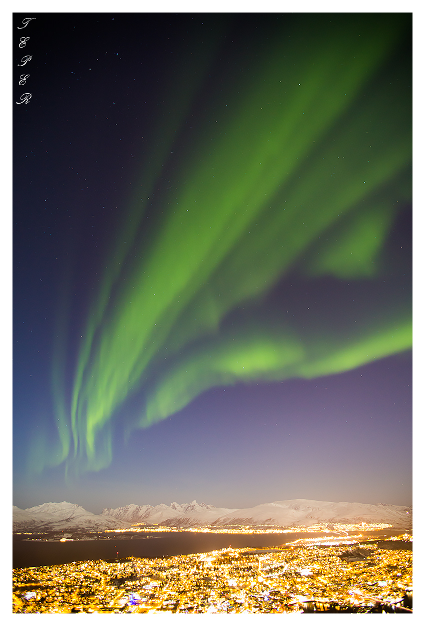 Tromso Lights
