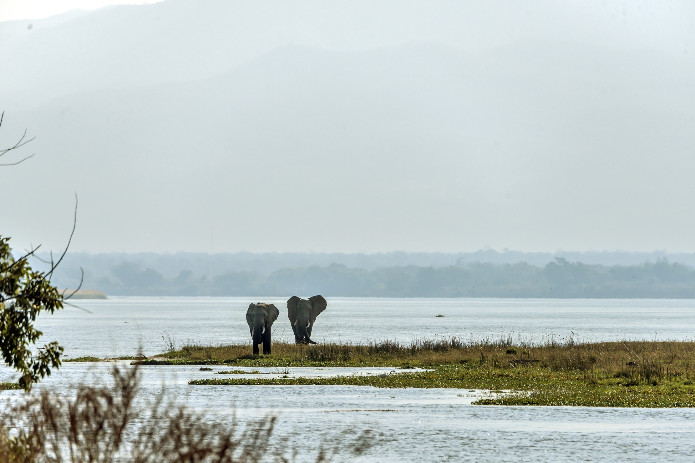 Zimbabwe 2015 - Sullo Zambesi