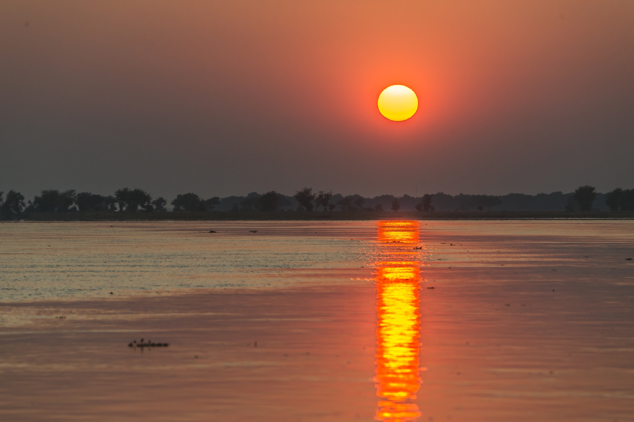 Zambia 2015 - Alba sullo Zambesi
