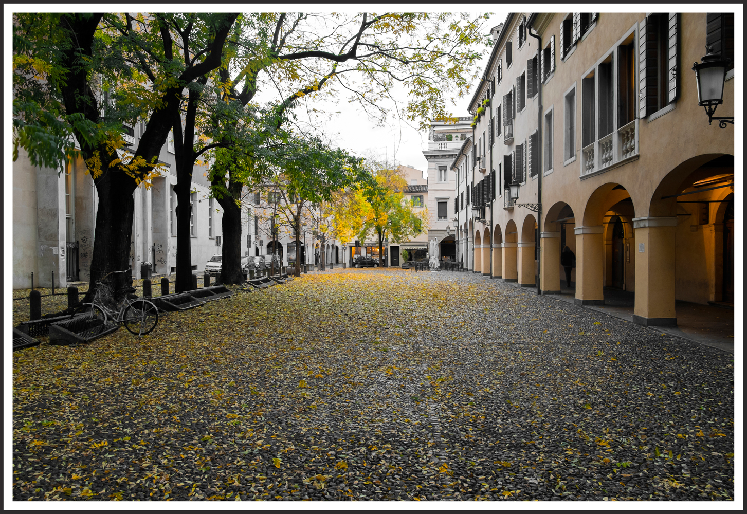 Padova autunnale 15