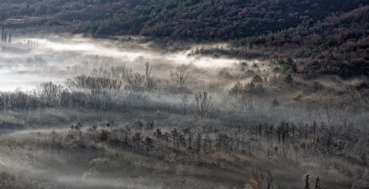 Early in the morning