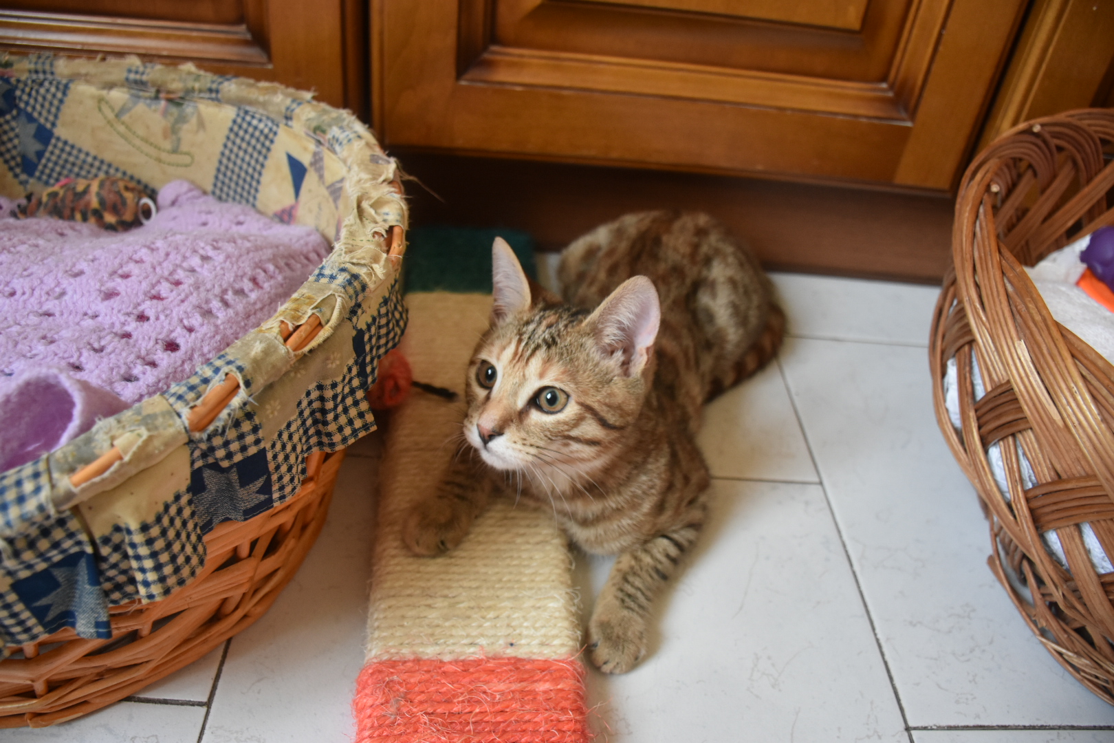 Mya e il suo gioco preferito