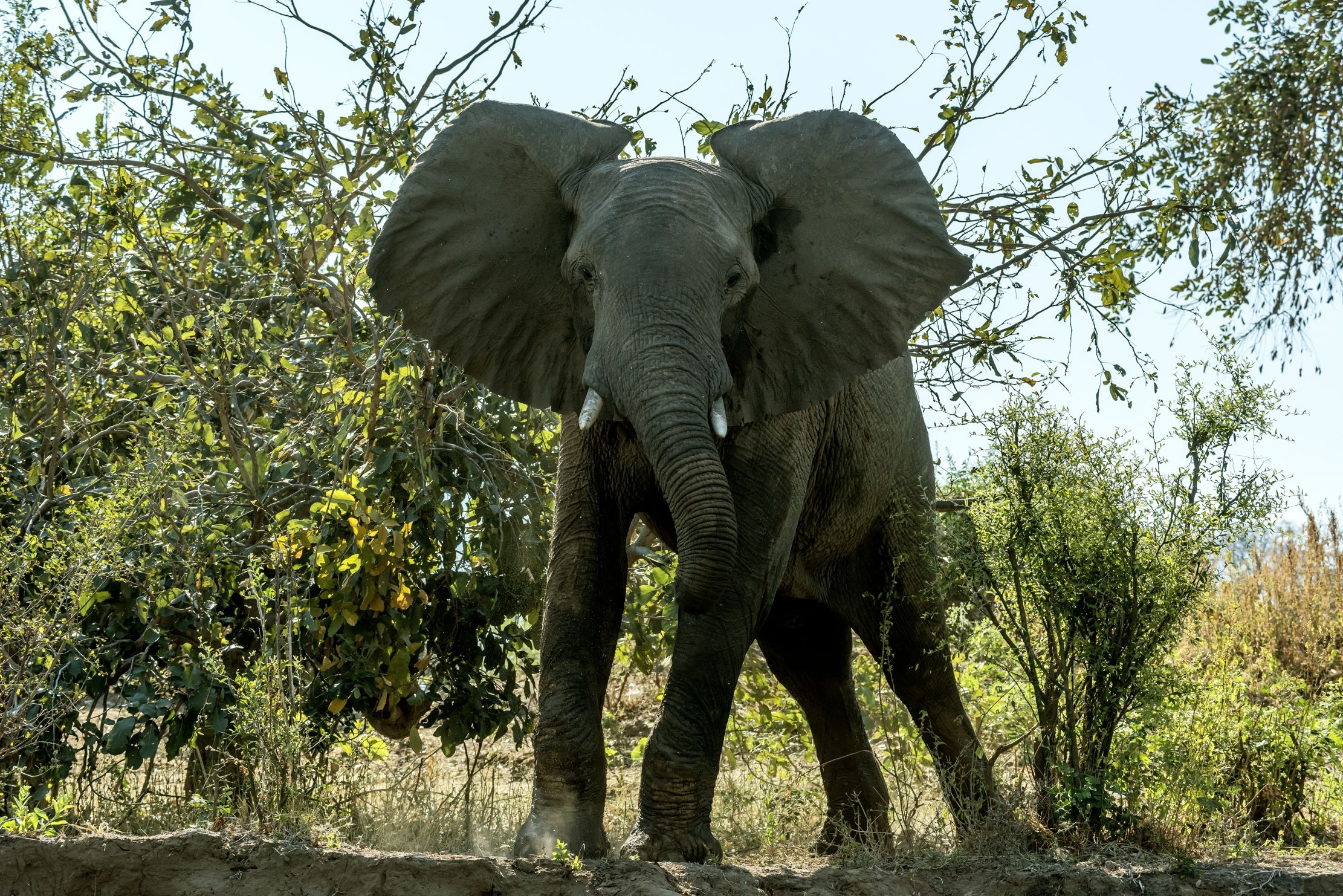 Zambia 2015 - Avvertimenti