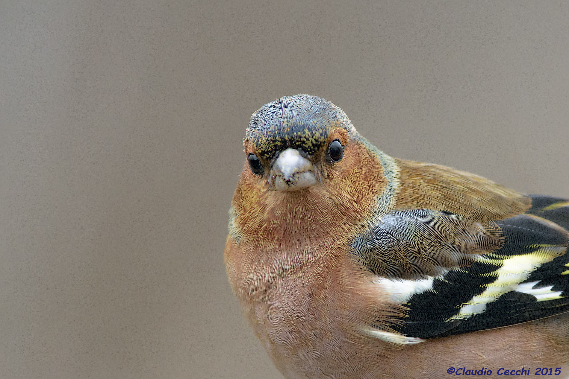 Finguello foreground