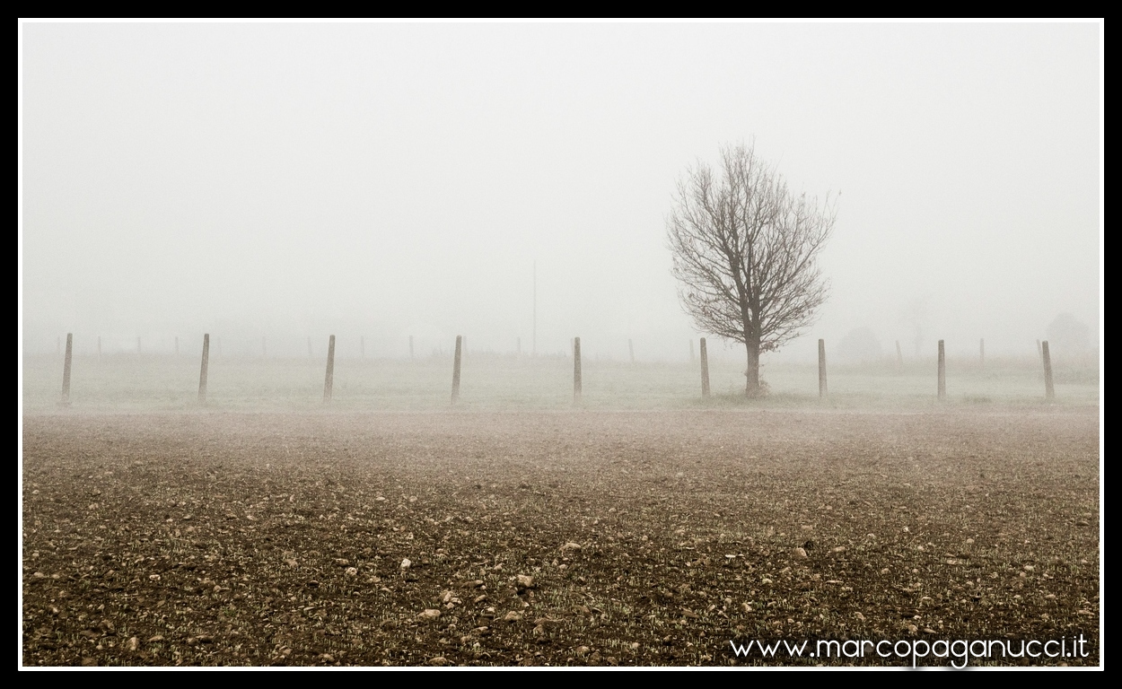 ... Drizzling salt ...