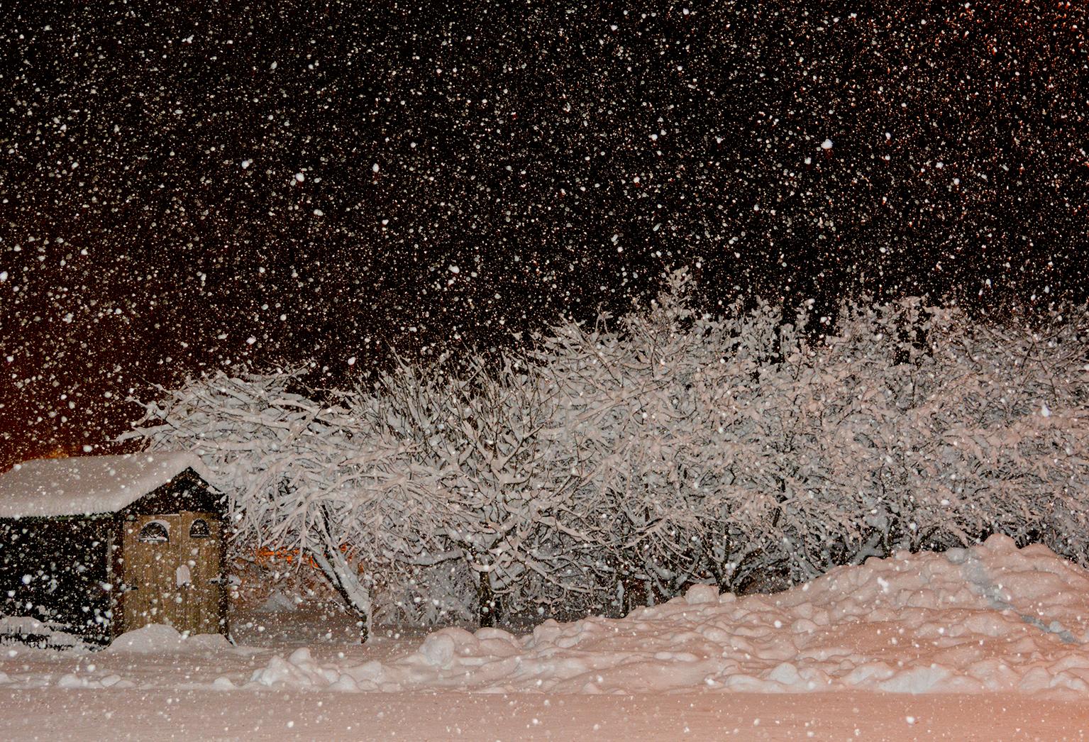 Snowing in front of home