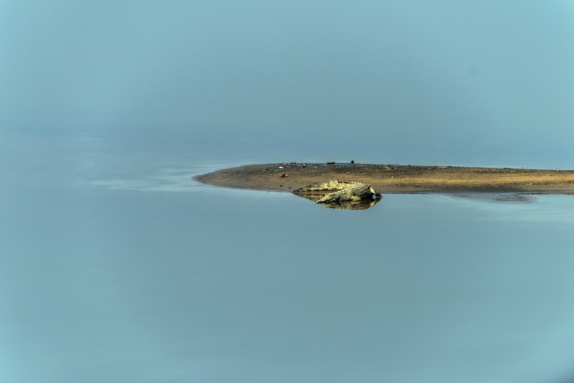 Zambia 2015 - Cocco sul Luangwa