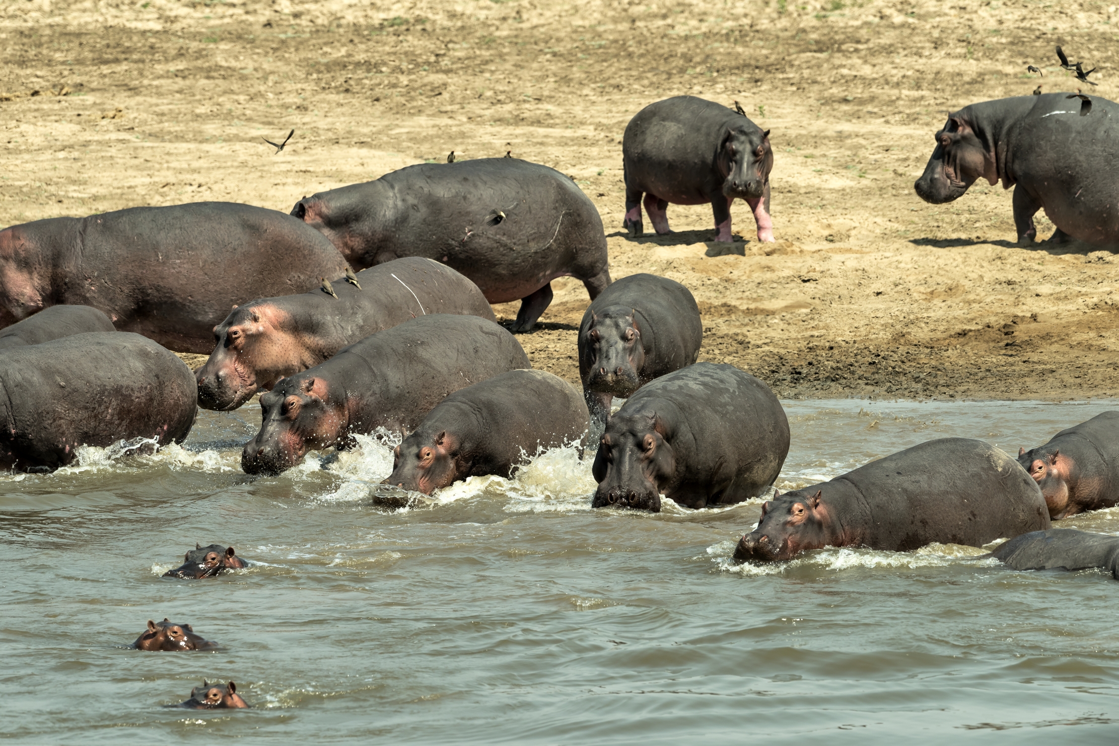 Zambia 2015 - Tutti in acqua