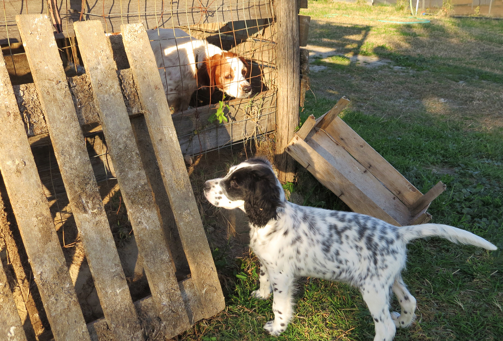 You are free and I did not ...