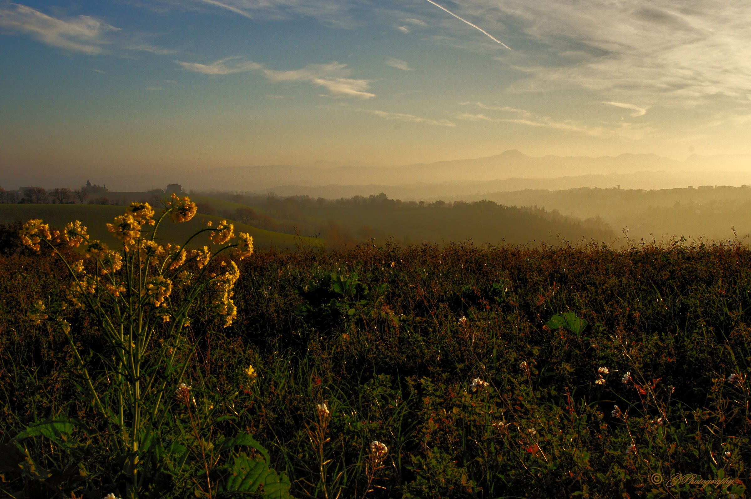 Winter Solstice 2015