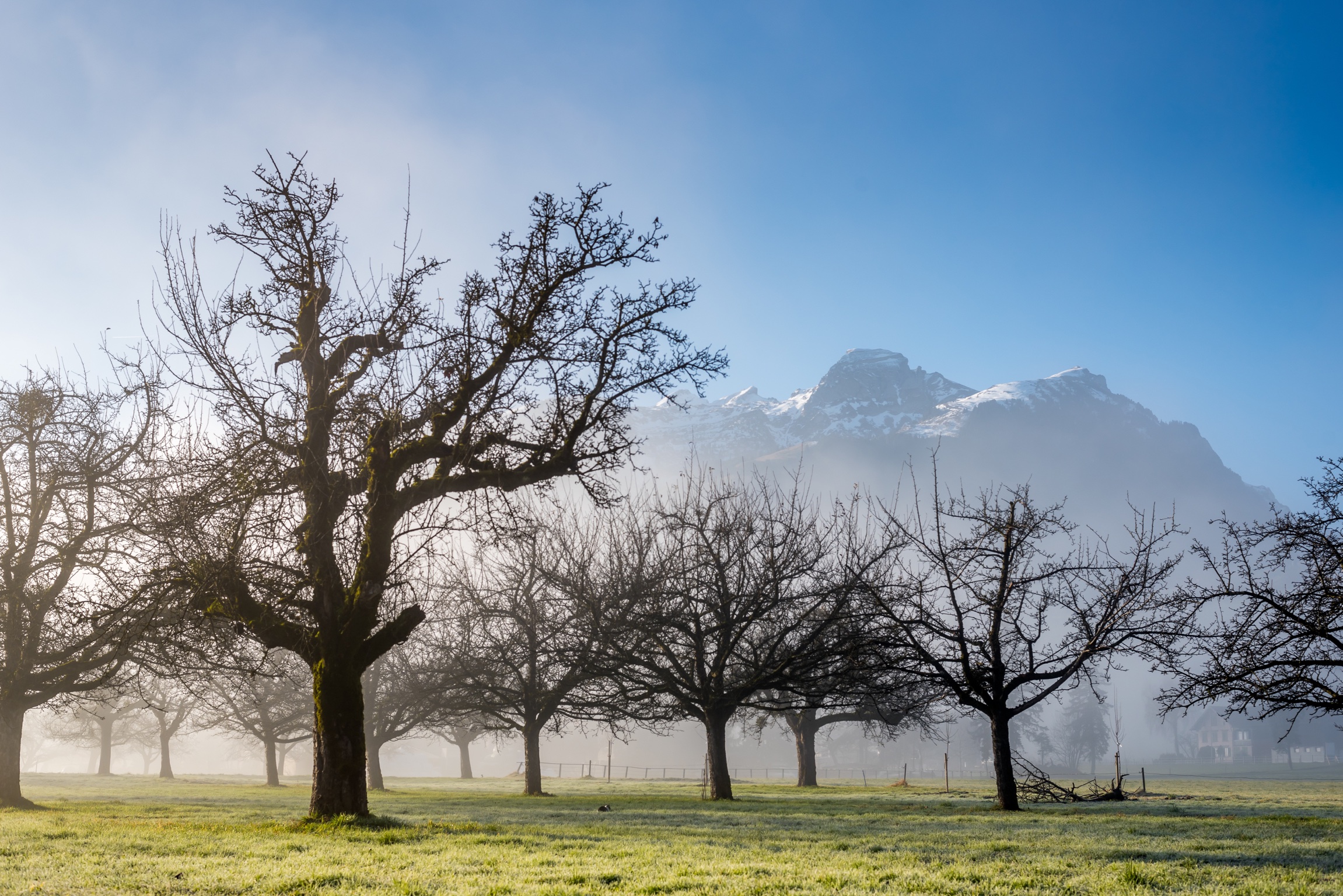 The winter is long in coming