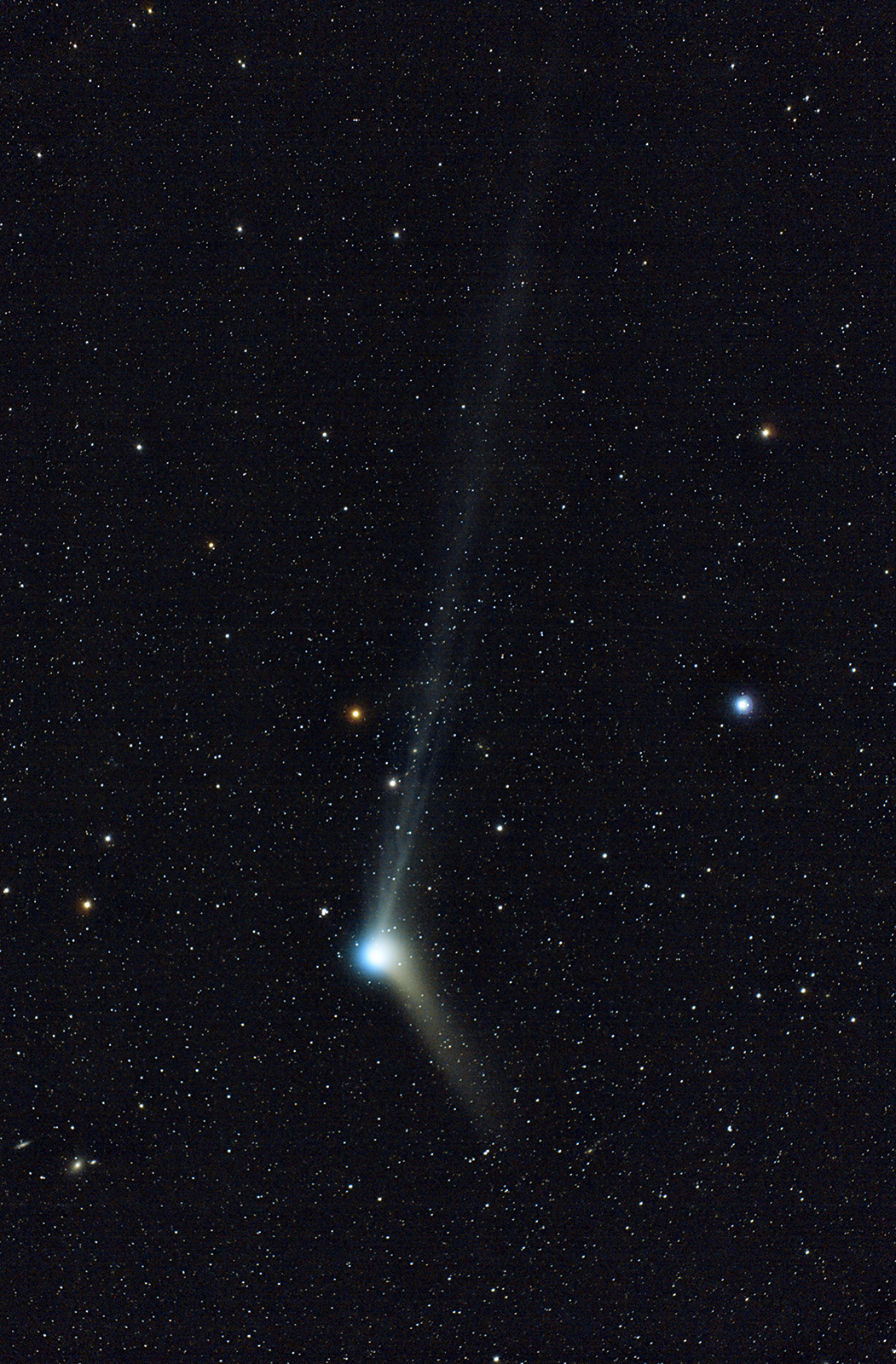 La cometa di Natale,no dai solo la Catalina :-)