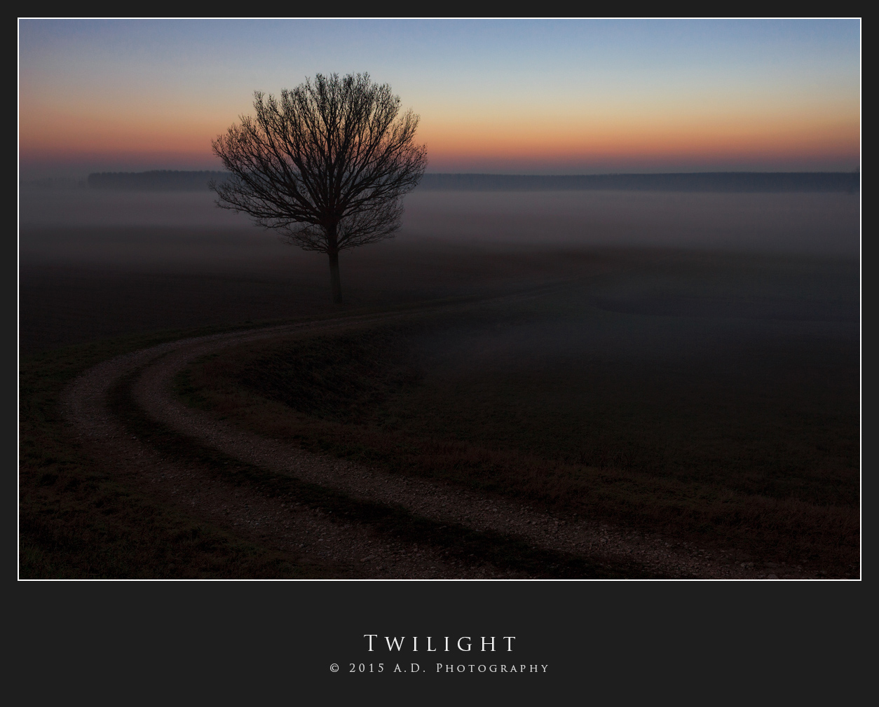 Twilight