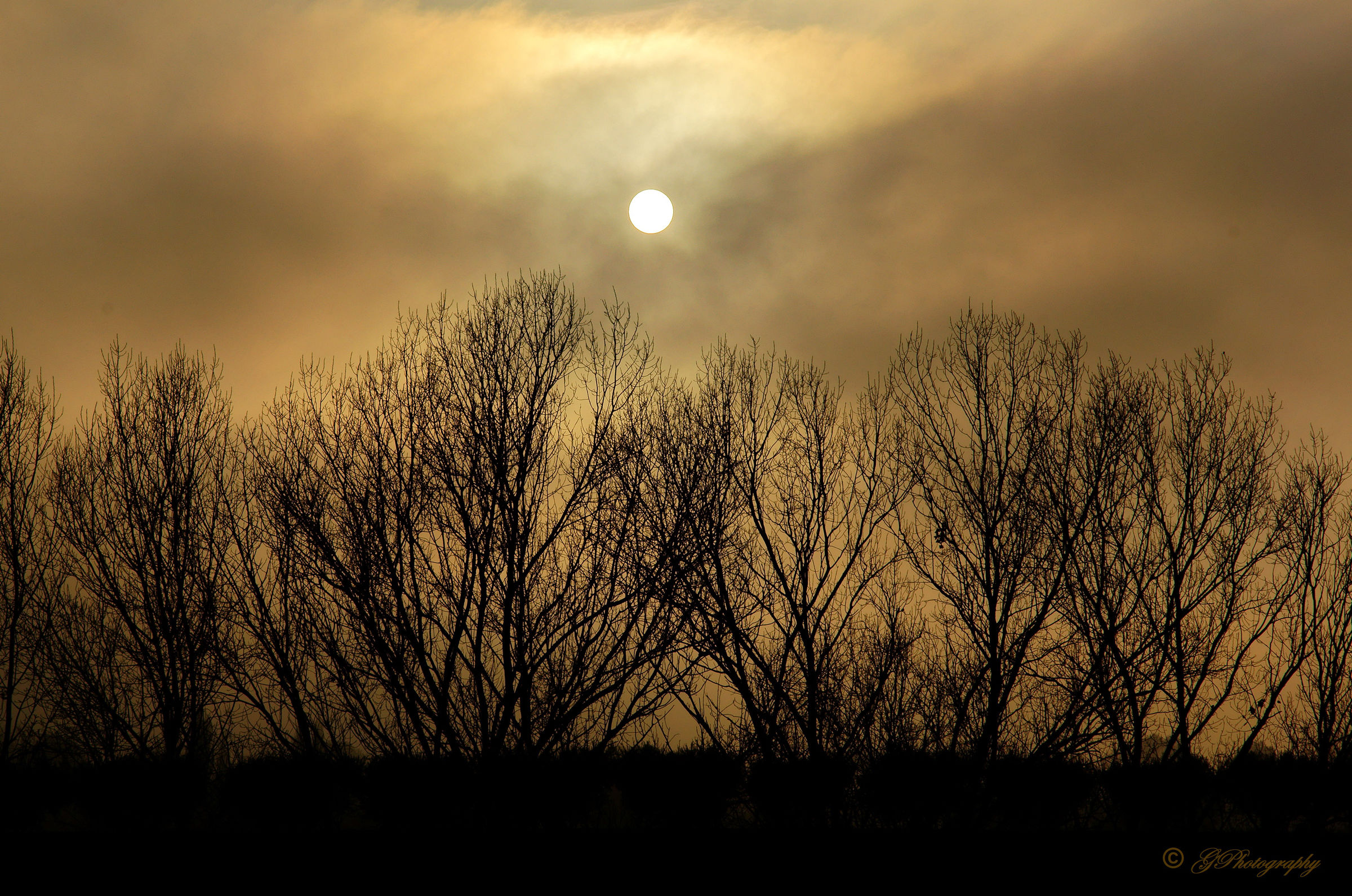 Il 1° Giorno d'Inverno