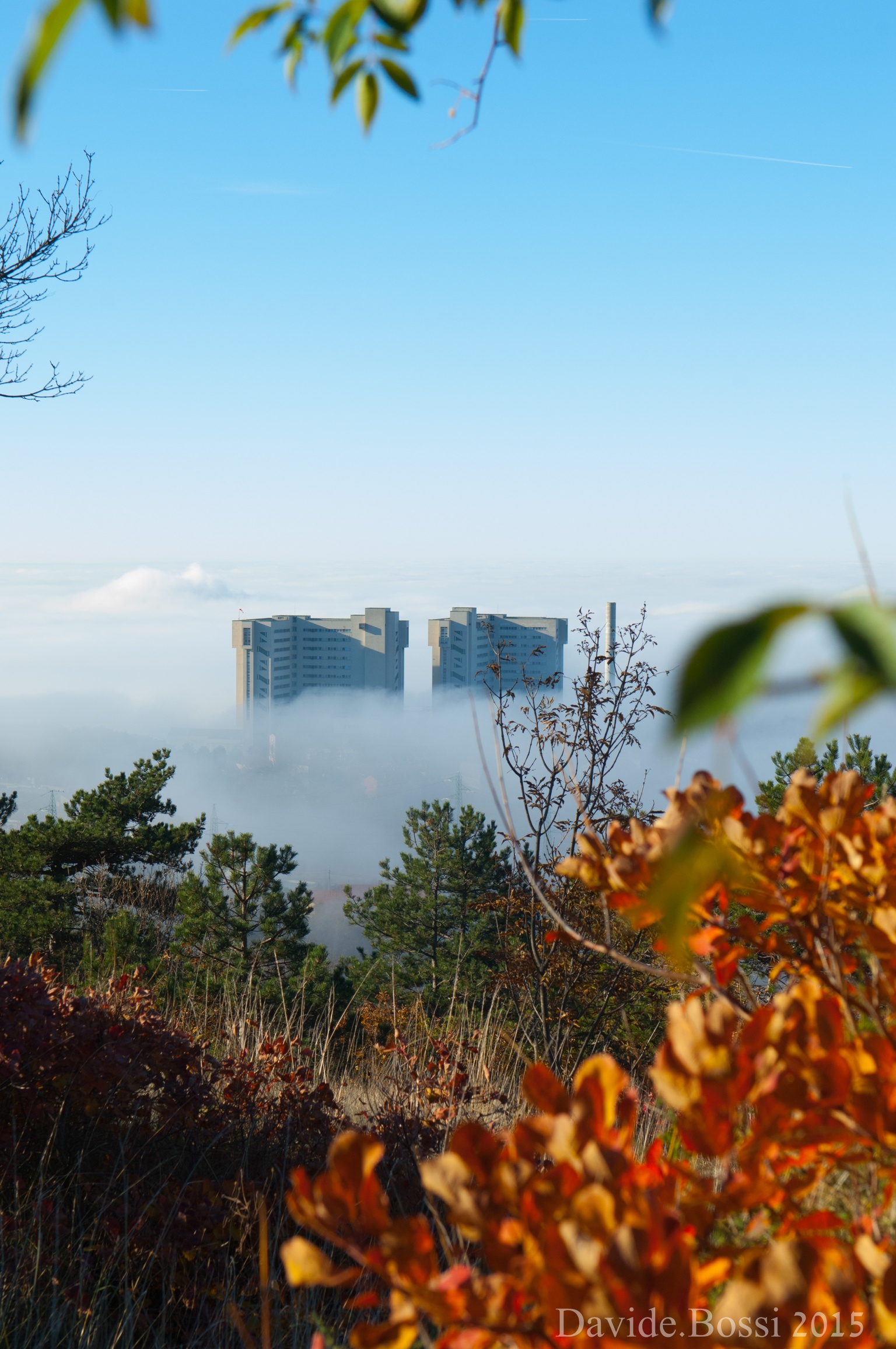 Trieste con una nebbia particolare....