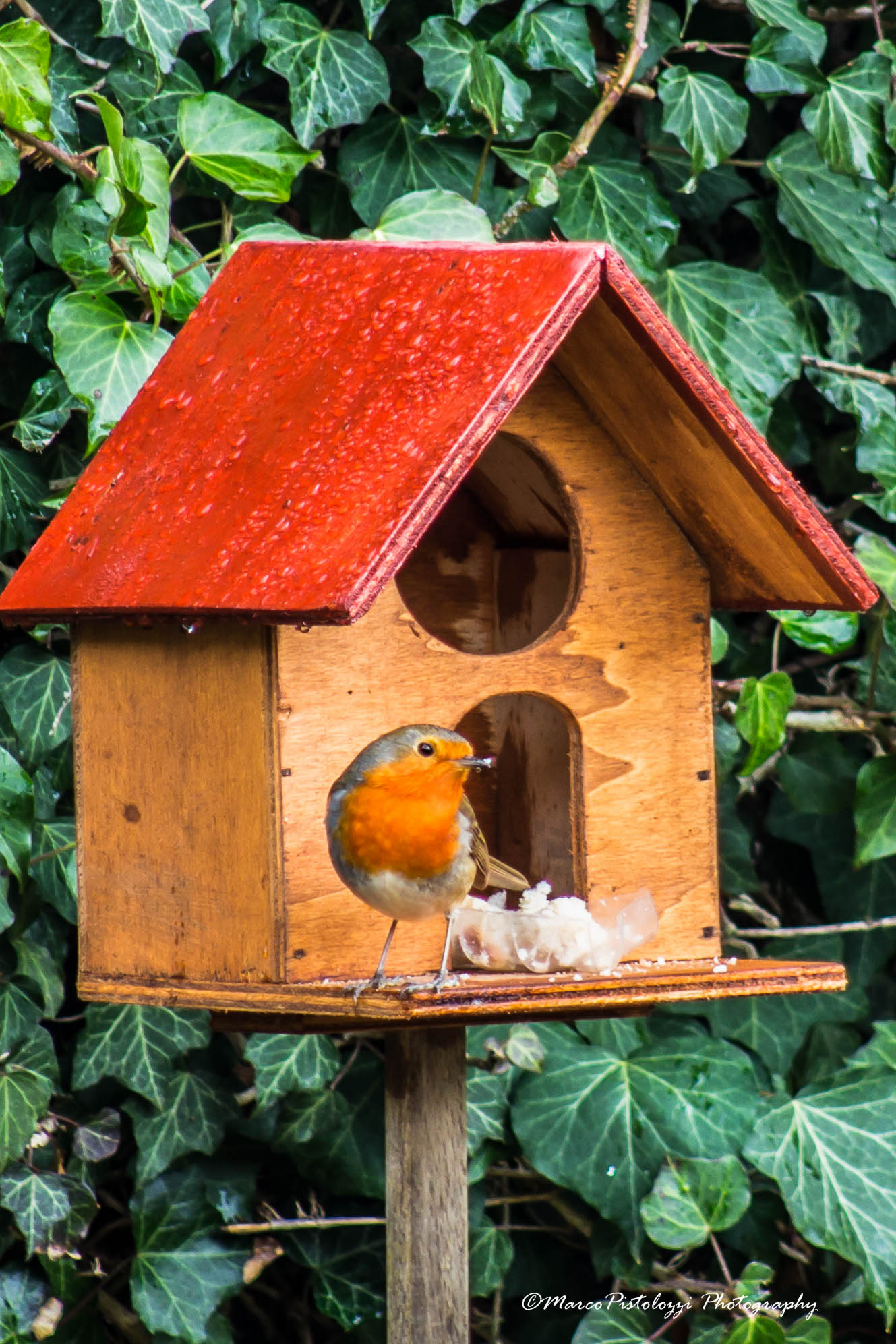 .. the home of Robin...