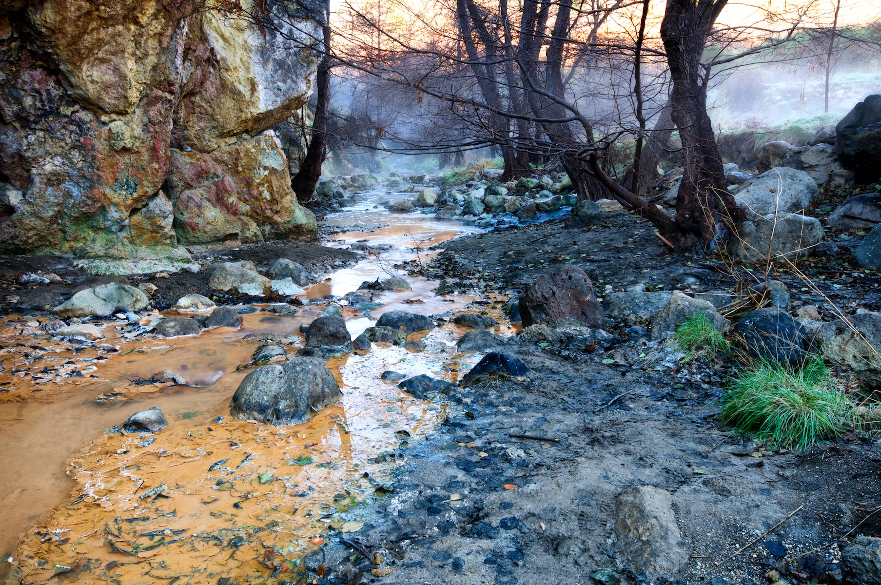 Brume mattutine a Monterano