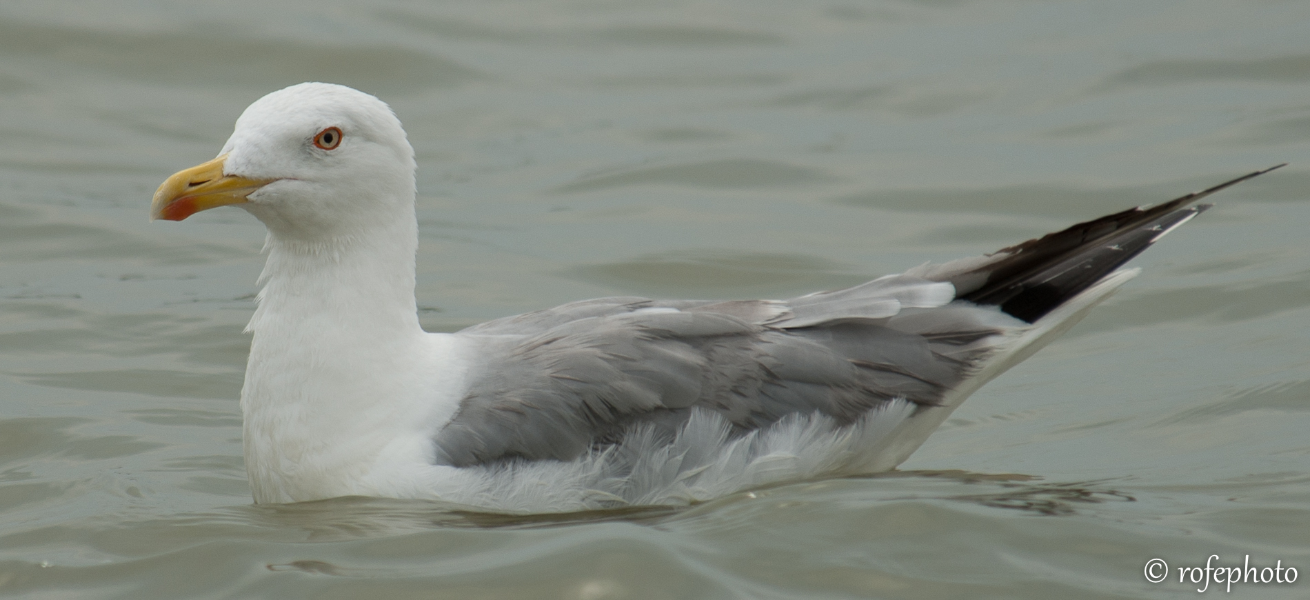 Un bagnetto ci vuole......