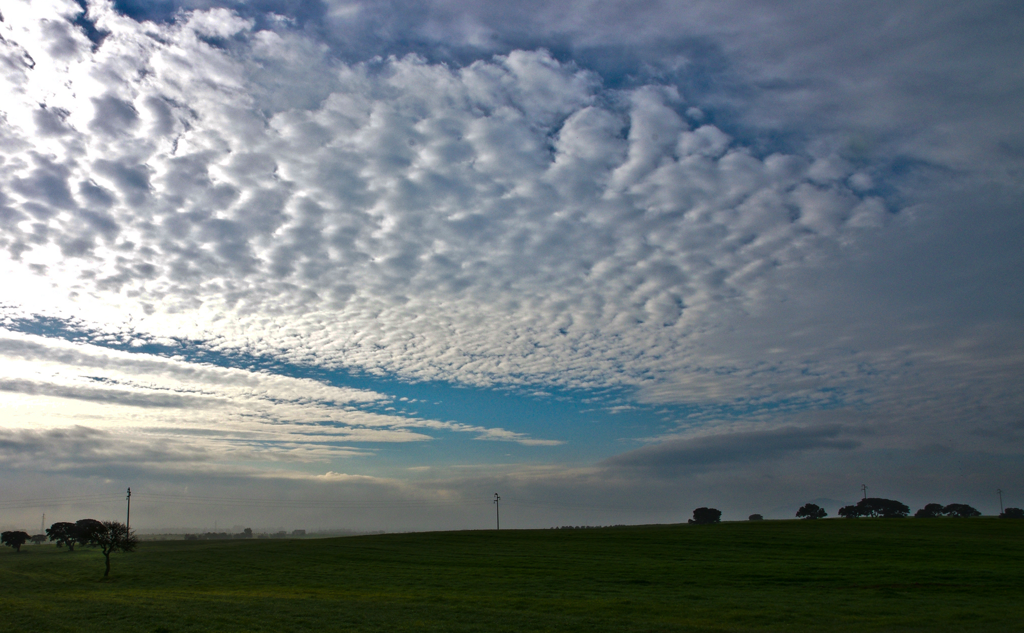 Sardinian countryside in December