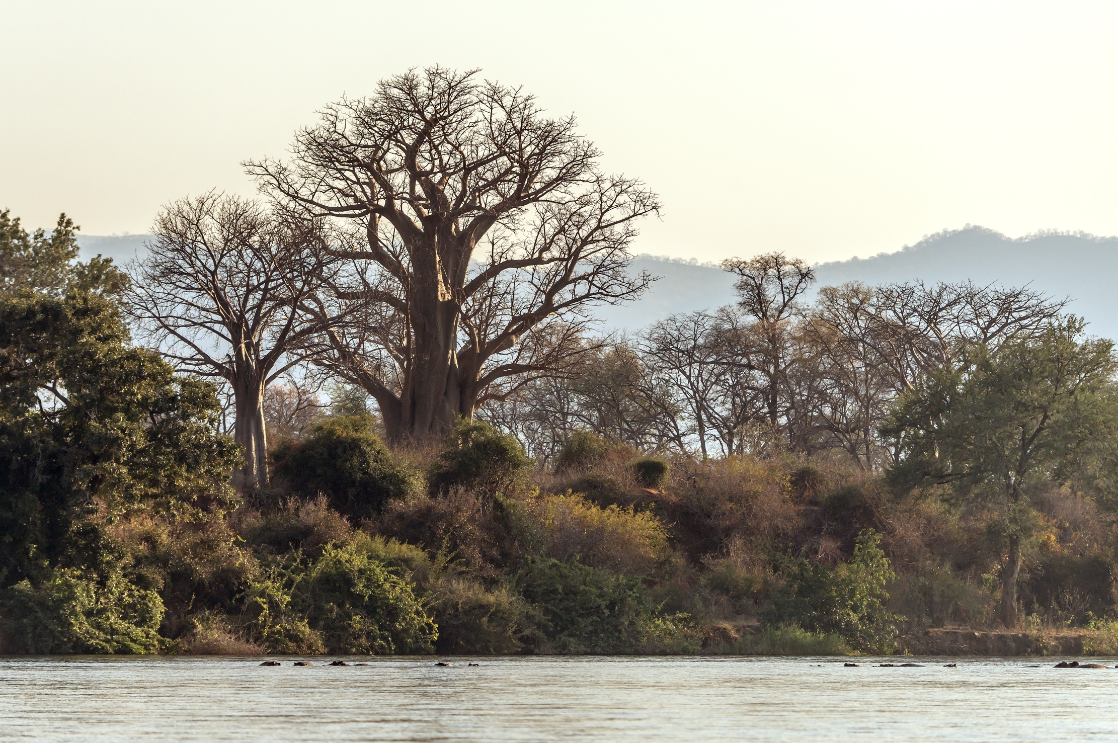 Zambia 2015 - Sullo Zambesi