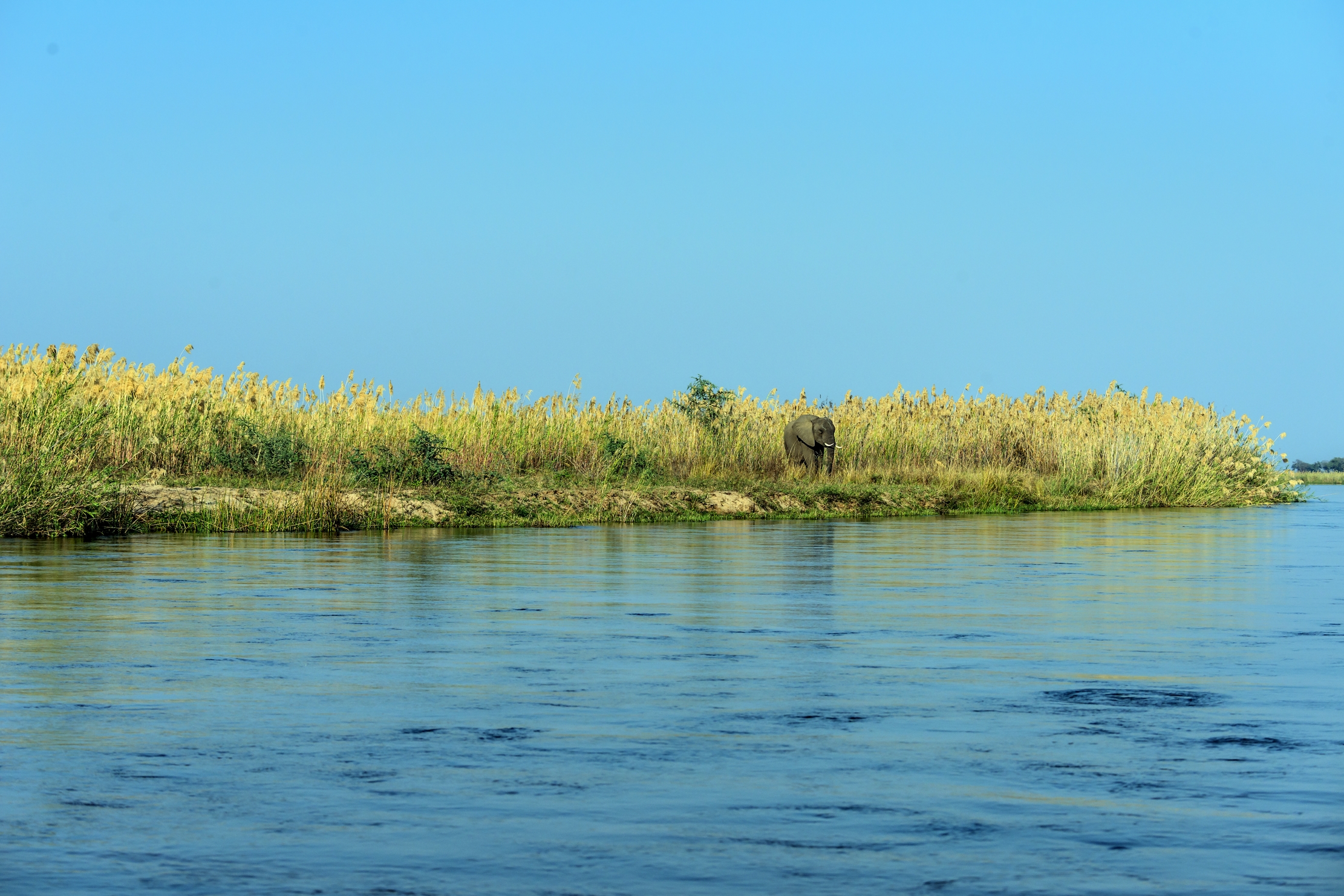 Zambia 2015 - Sullo Zambesi