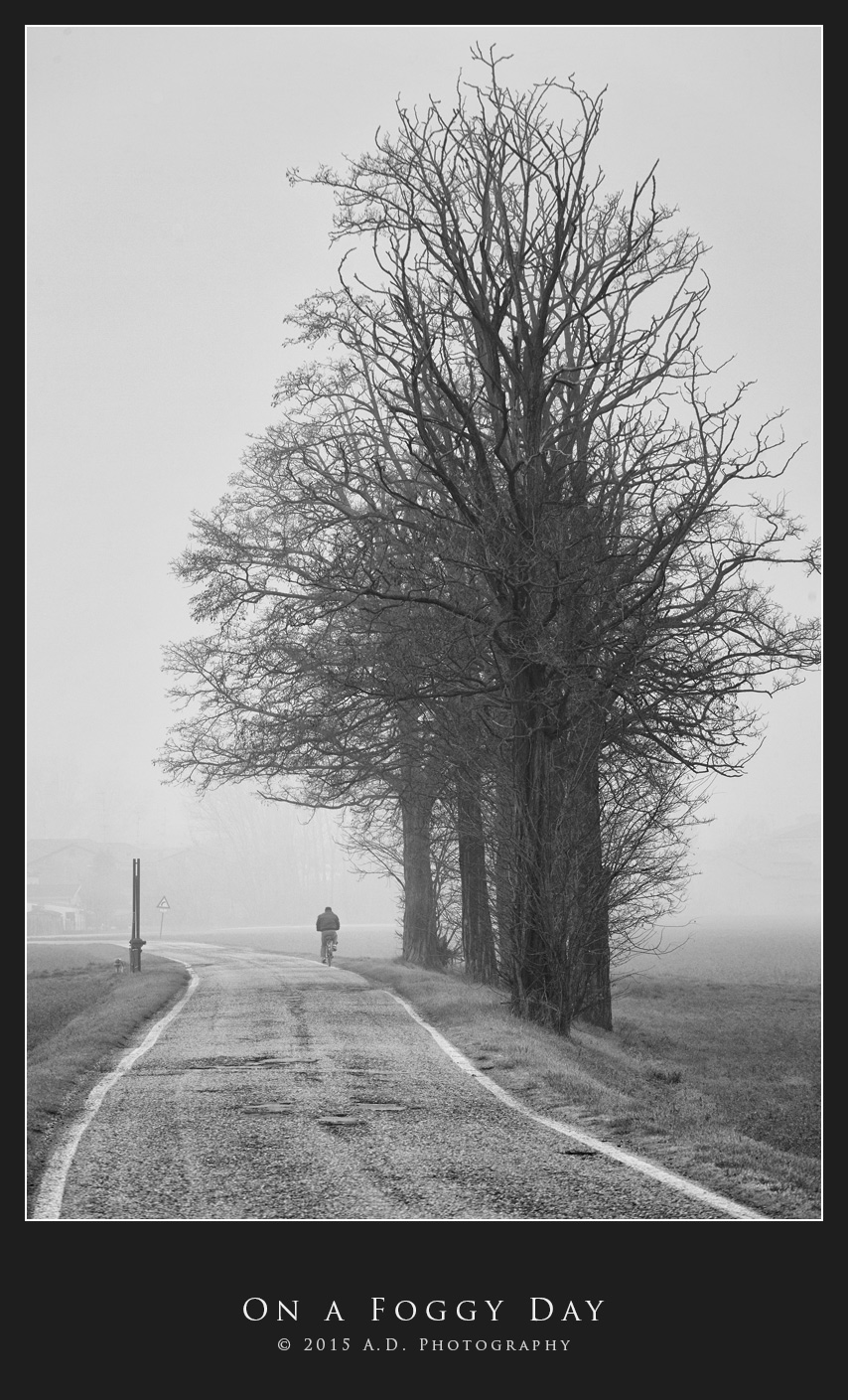 On a Foggy Day