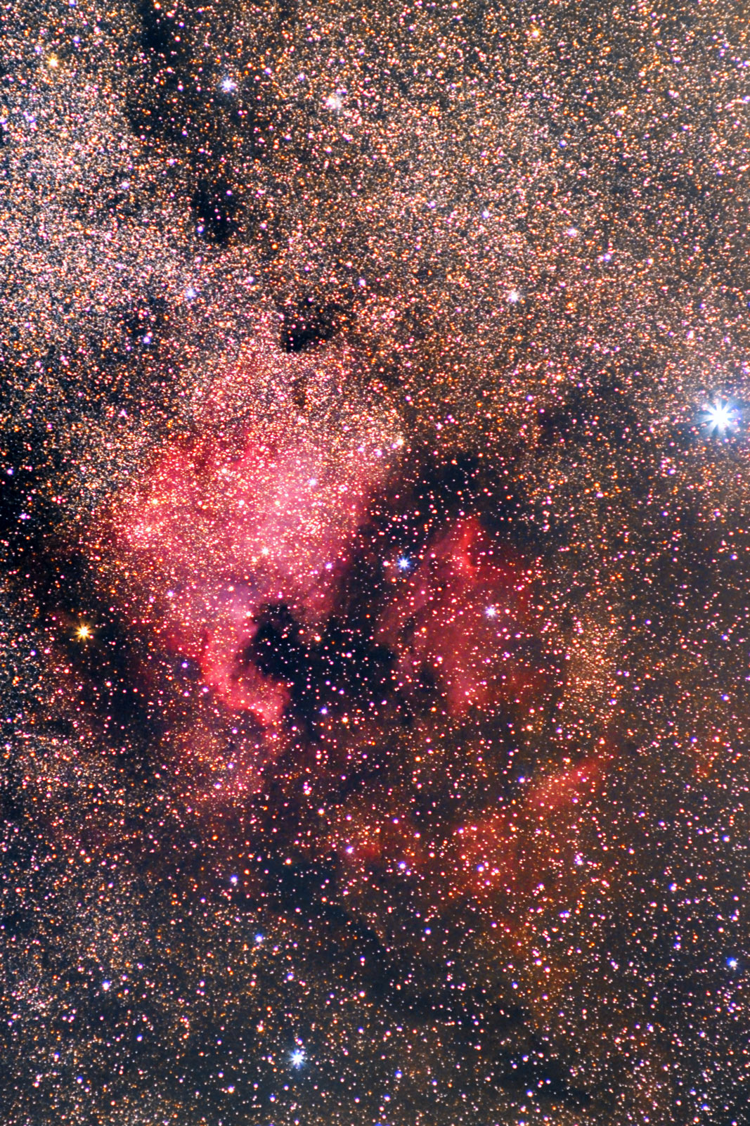 Nebulosa Nord America e Pellicano