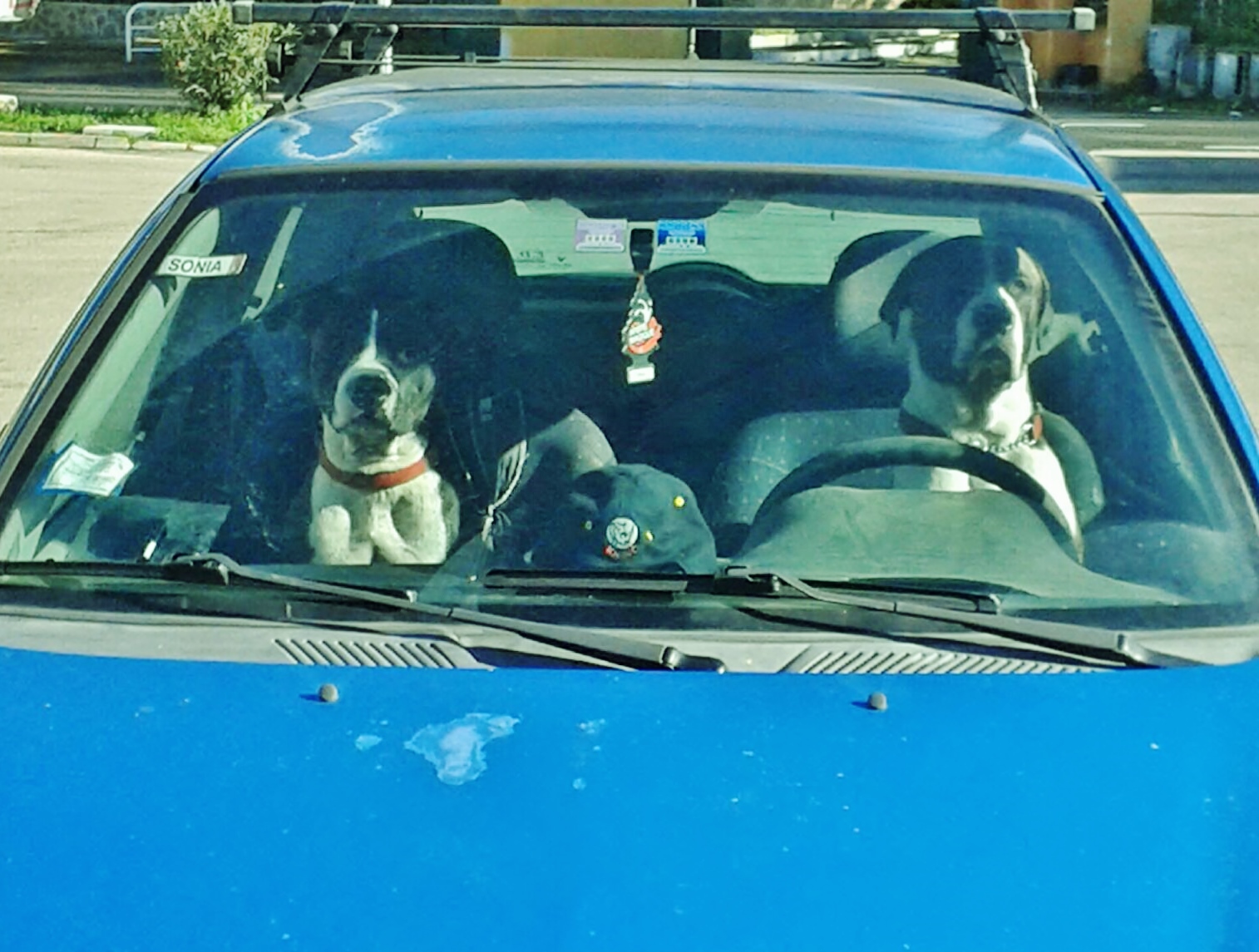 You see everything, stop at traffic lights.