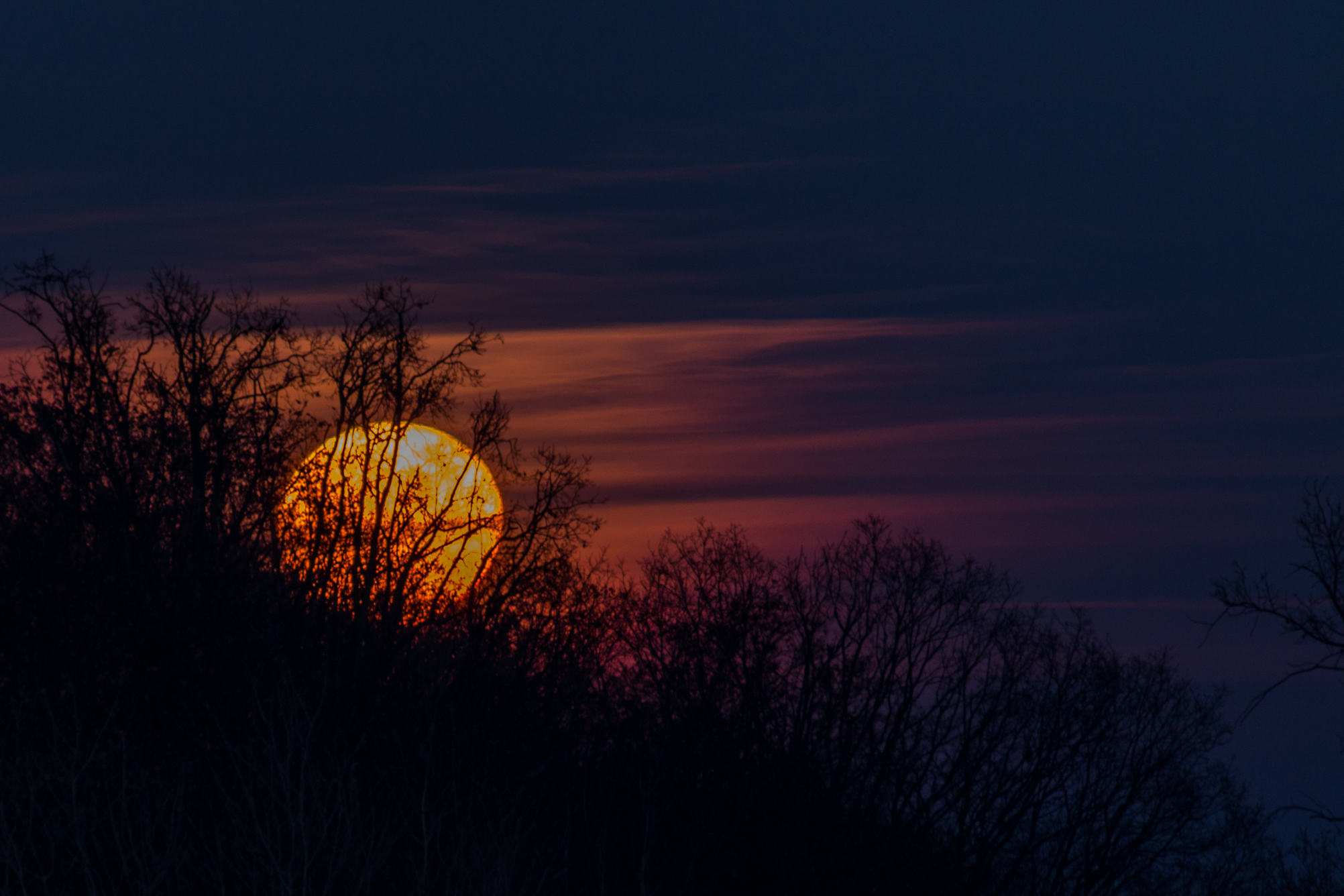 the moon rises in the moors of baraggia