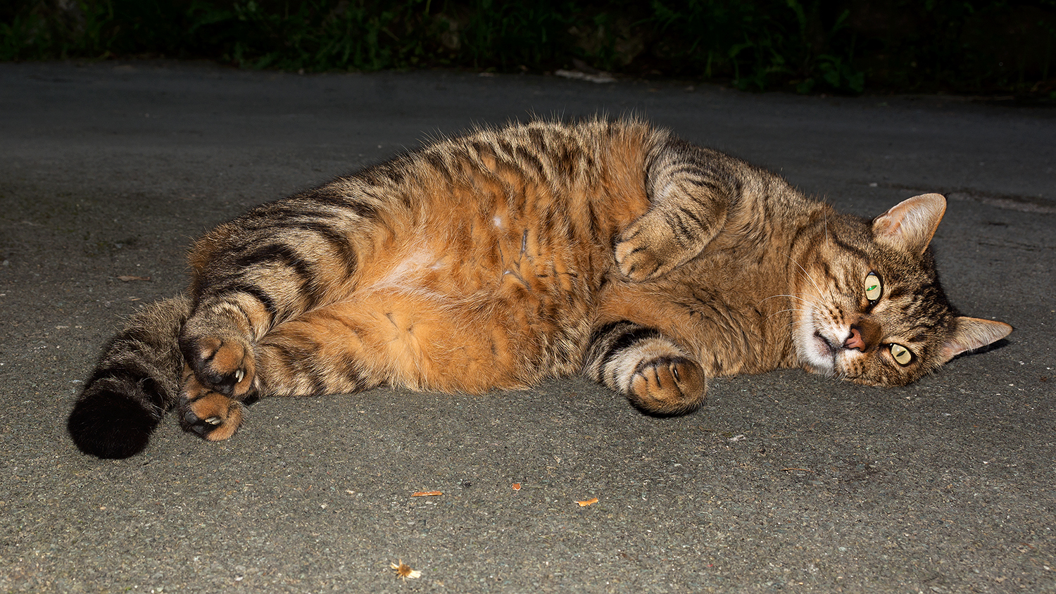 About me two pampering?