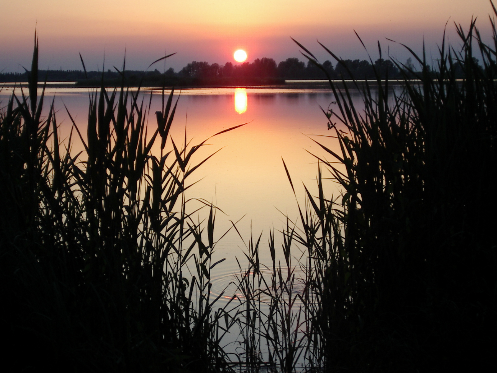 Lago Maggiore Mantova