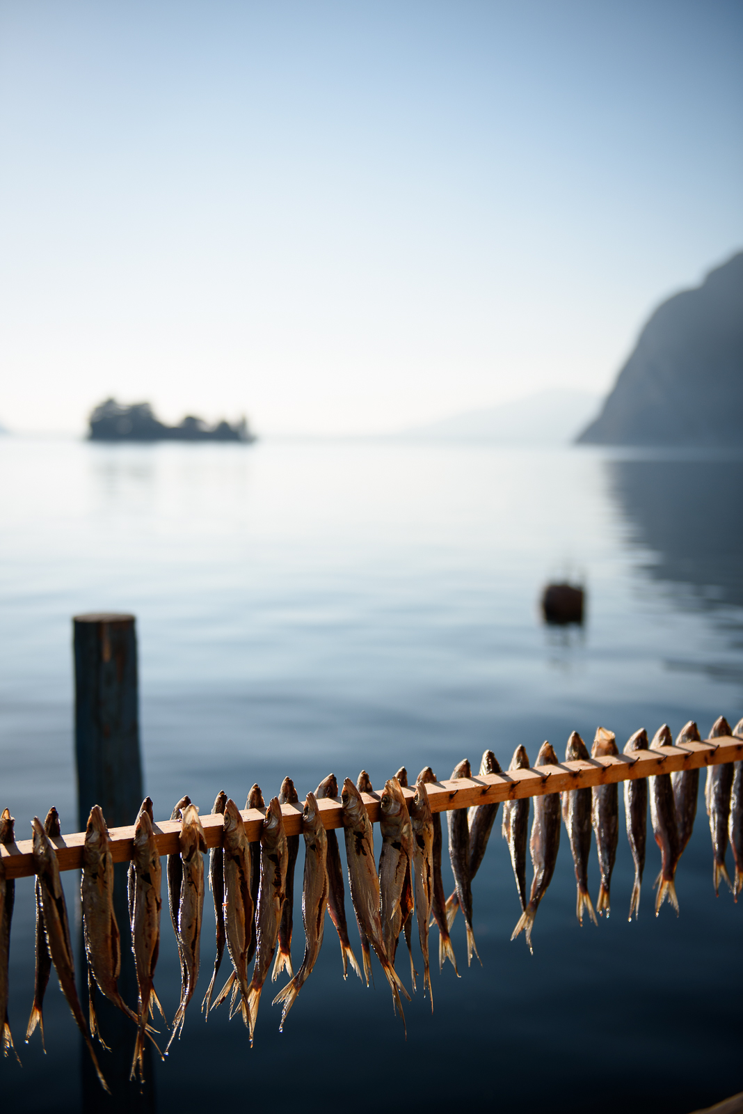 Sardine di lago a Monte Isola