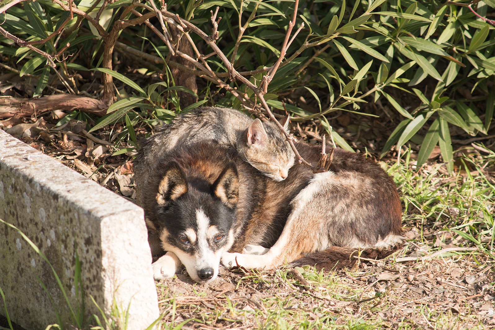 We want to be close neighbors