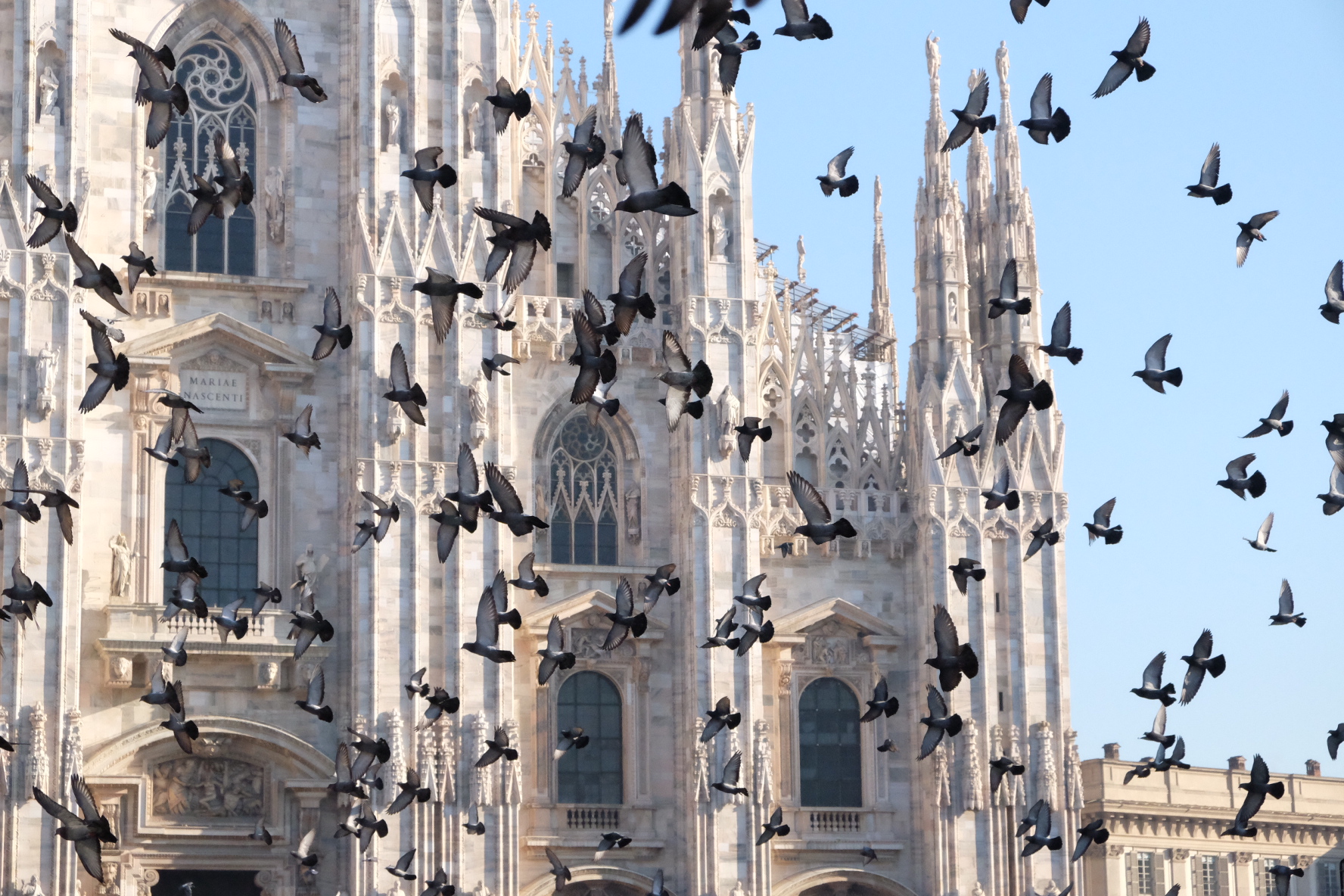 Milano, Duomo