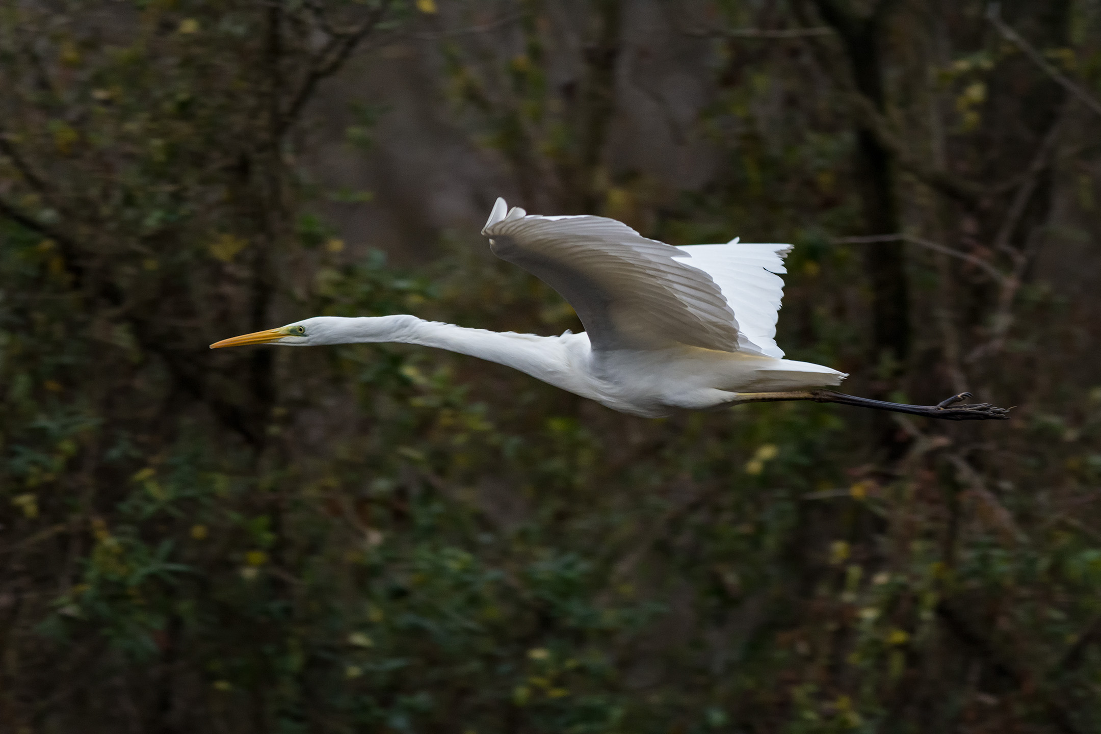 Launched at full velolcità
