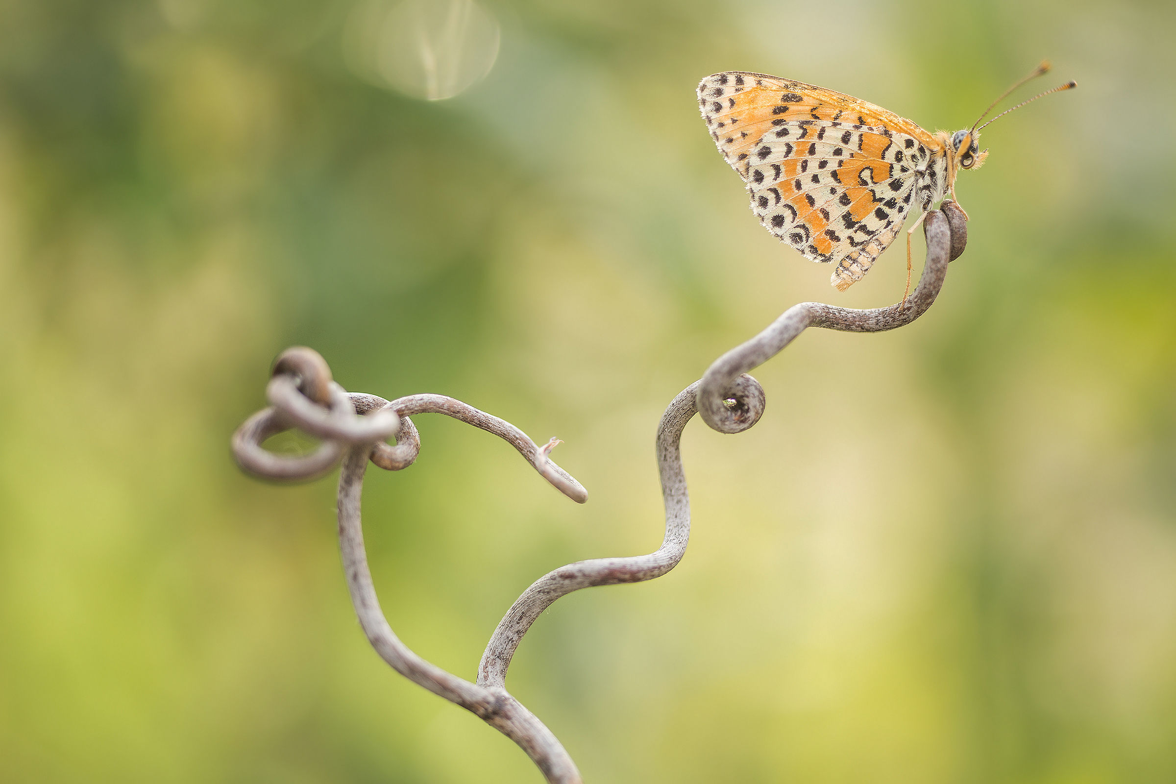 Look at that ... ????