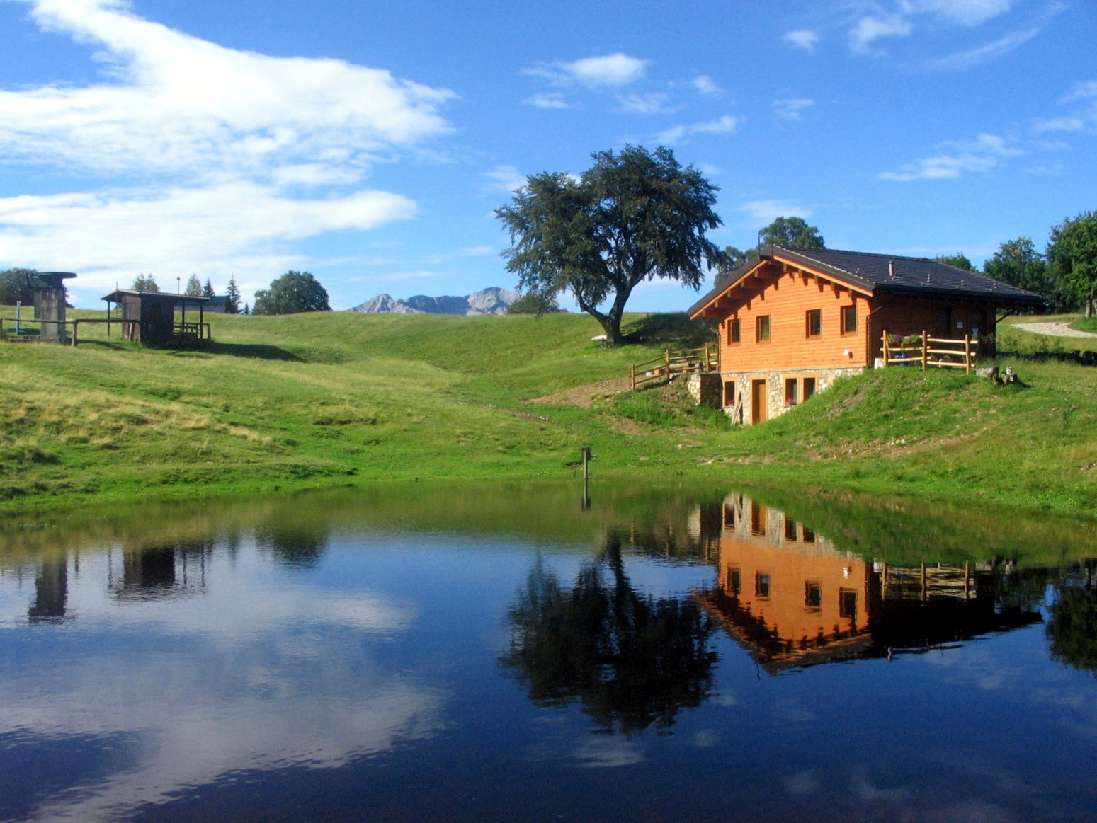 Riflesso nello stagno