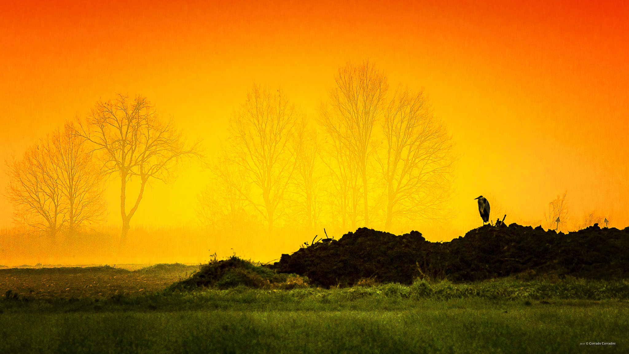 Il buio e l'attesa hanno lo stesso colore.