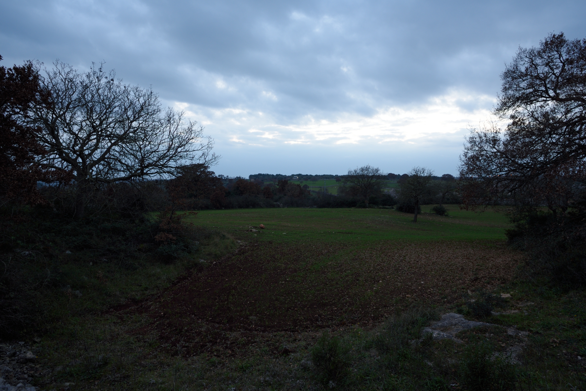 and 'evening, the last light of day.