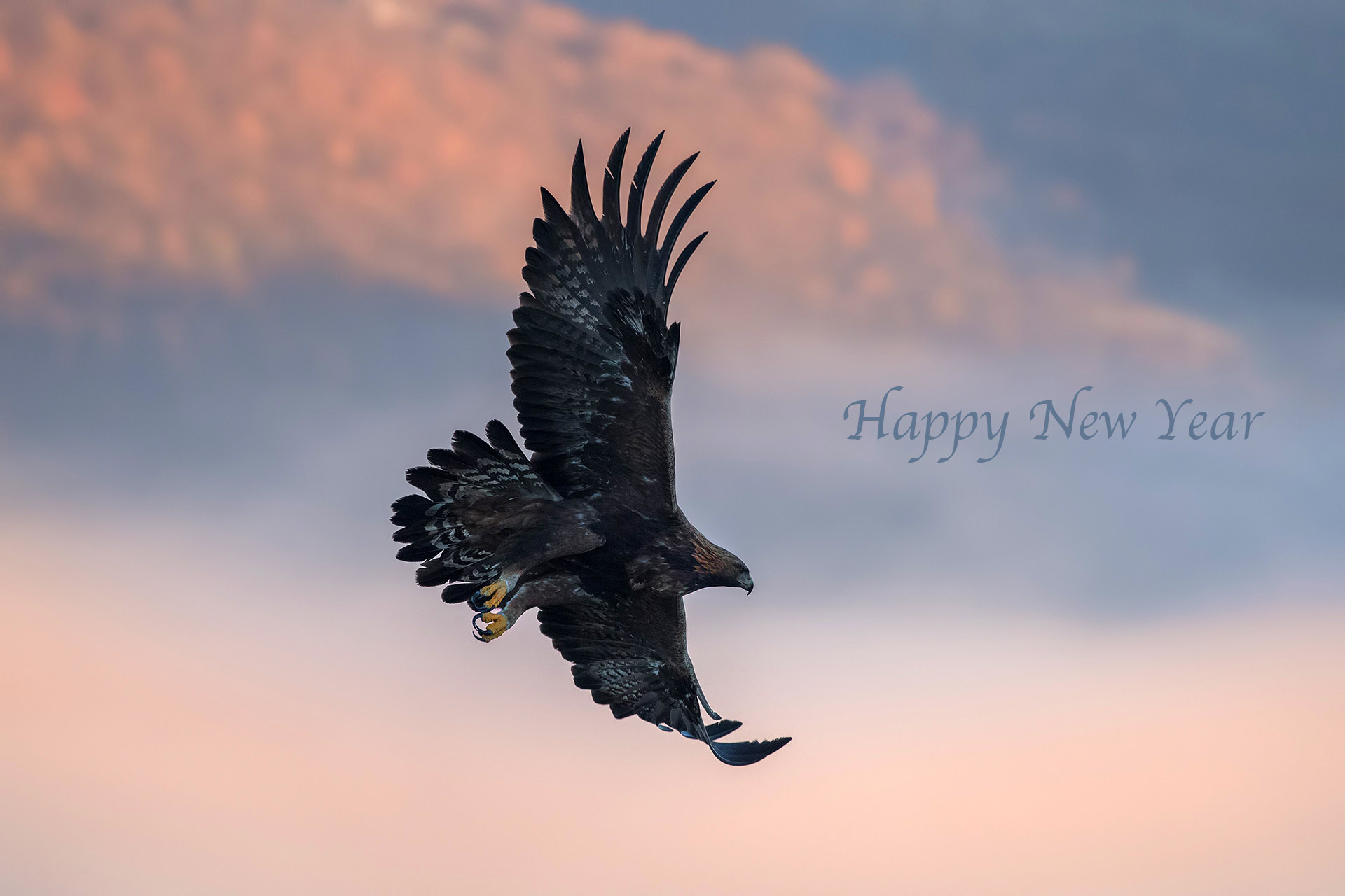 Felice anno nuovo!!!