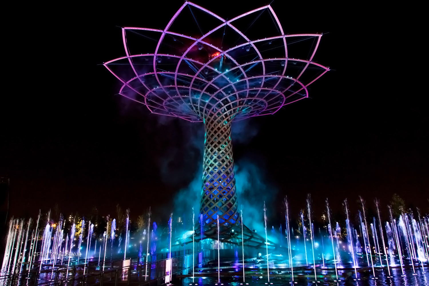 Expo- Albero della vita