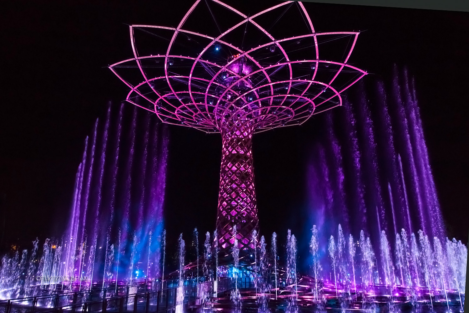 Expo - Albero della vita