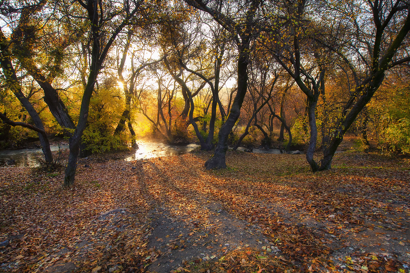 Autumn-Time ...coming